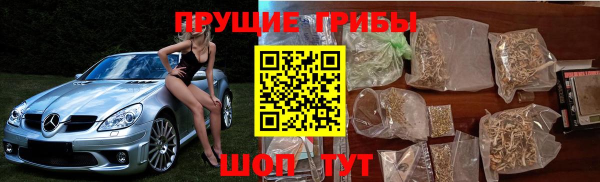 Салехард  Галлюциногенные грибы MAGIC MUSHROOMS  Вход с VPN 