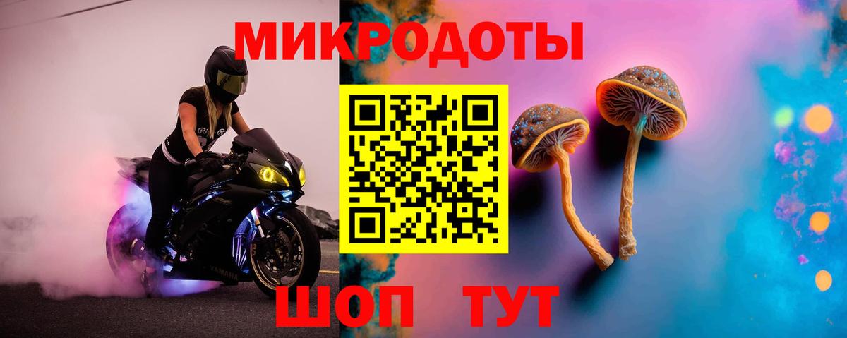 Псилоцибиновые грибы GOLDEN TEACHER Салехард